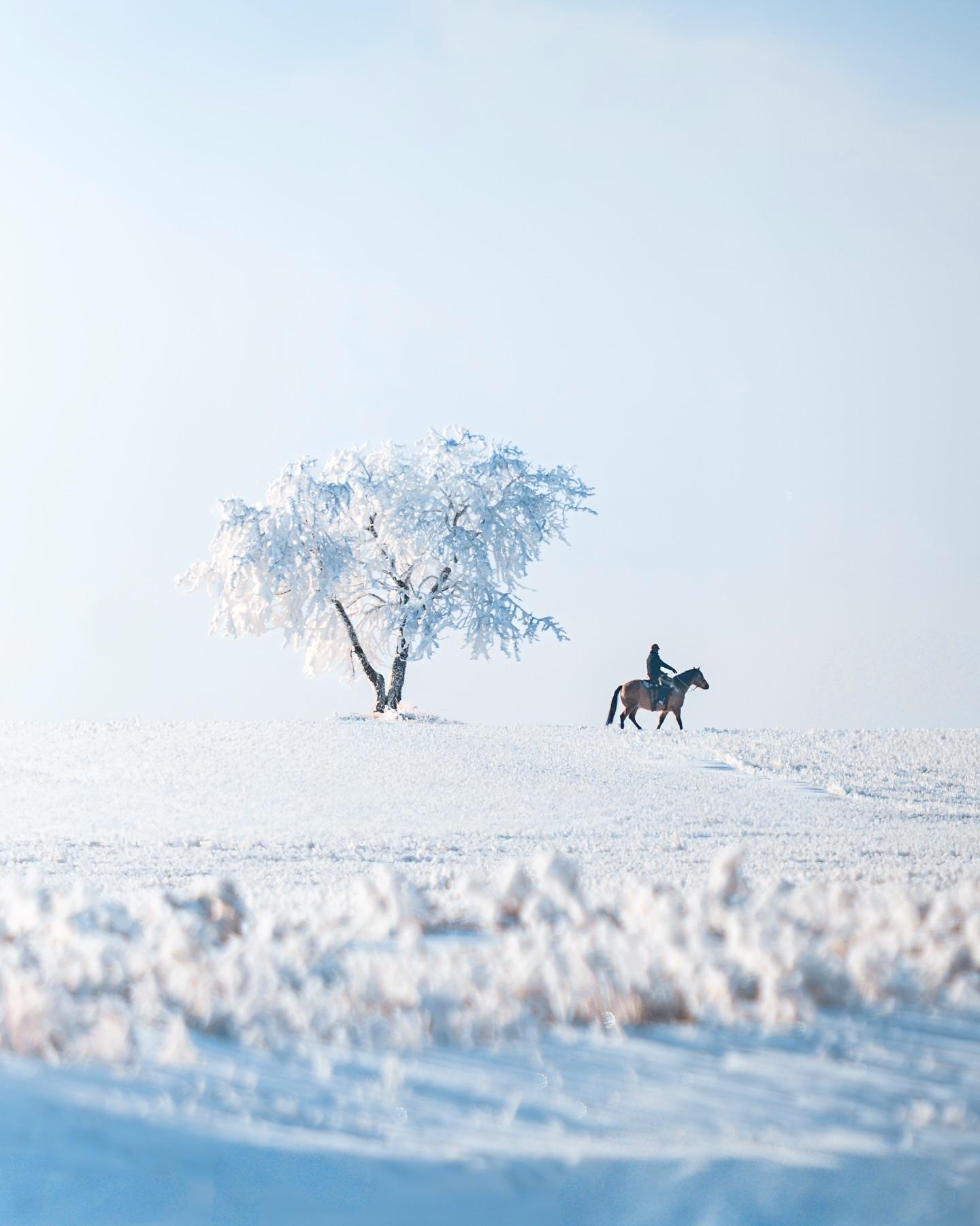 Winter Fest background